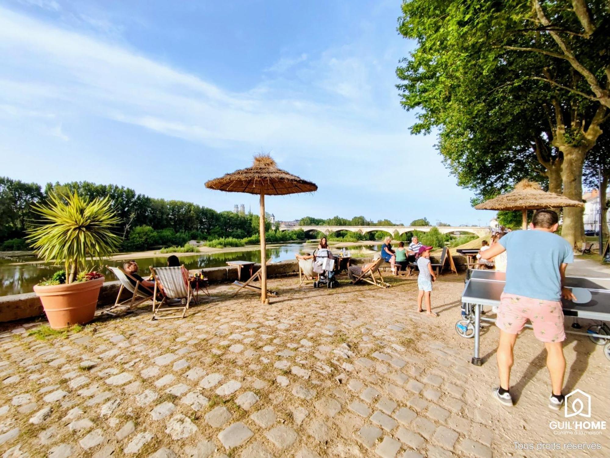 Terrasse Vegetalisee - Climatisation - Local Velo - Parking Gratuit Dans La Rue Orleans Bagian luar foto